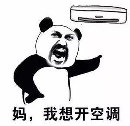今日天气升温大风体感不舒适好在今天一过,暖意四射