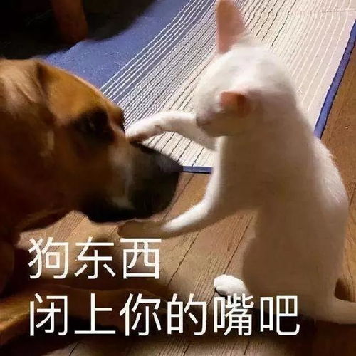 剧本杀作者布丁兔被行业抵制,写剧本请先学会做人