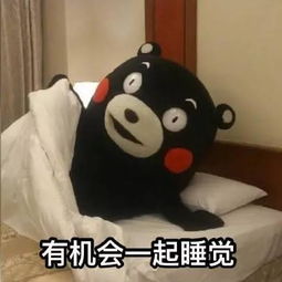 阿里旅行在酒店房间安装了摄像头后竟拍到了这些
