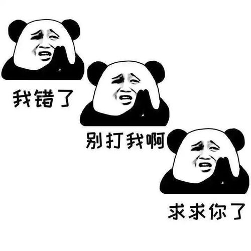 金小帅带你看小说问道之入道第14期
