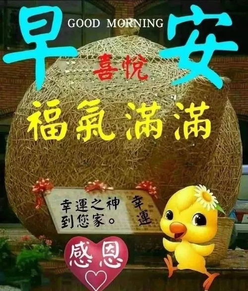 阳光