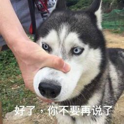 有什么笑到停不下来的笑话