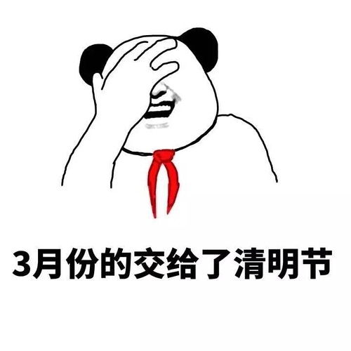 我一直很奇怪,我的工资...都去哪儿了哈哈,好搞笑