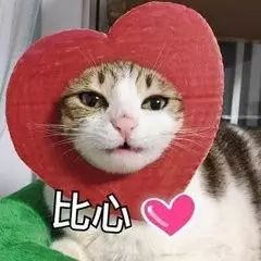 暖暖哒河北沧州这位六旬老人30年如一日义务修路,引村民点赞