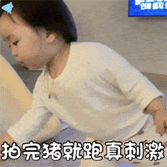 微信拍一拍表情包动图