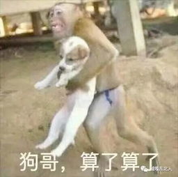 搜狐公众平台大哥,算了算了消消气