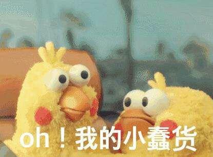 谁知道这个系列的鸭子叫什么