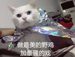 撩人必备的污污表情包,网恋选我我超甜,小哥哥选我哟