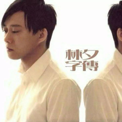 林夕余生的光阴,只为戒掉你