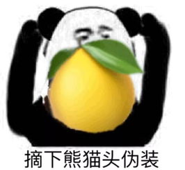 柠檬精专属表情包分享团长收集的都在这儿了