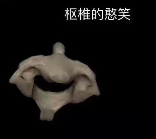 除了第五颈椎的微笑身体里还藏着好多表情包