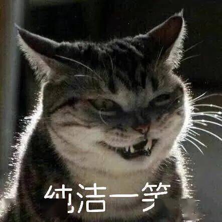热门表情包天气冷有话床上说