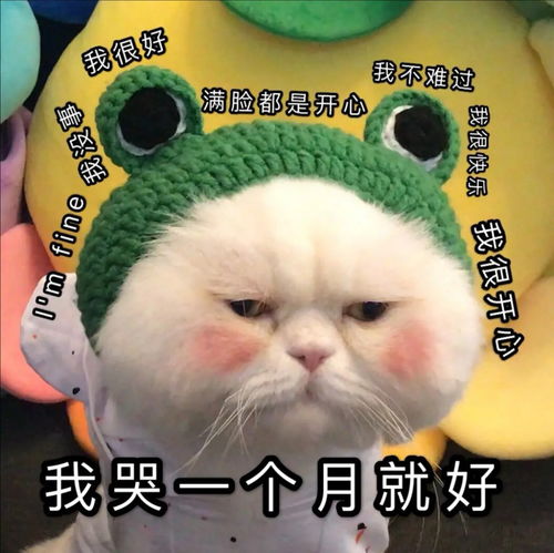 体会过表哥线的be和he之后,我只想说句