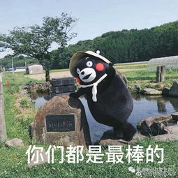 轻松一刻高考表情包千万不要为了谁,放弃最后一道大题