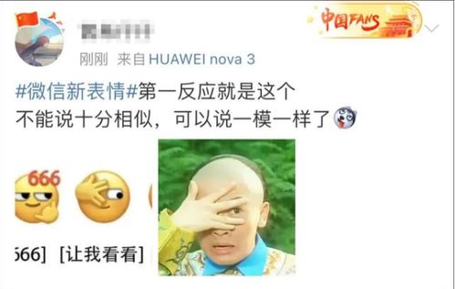 打工人我裂开了微信悄悄上线新表情,在疯的道路越走越远网友