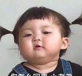合集萌娃罗熙表情包