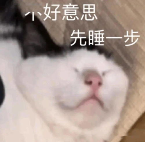 东莞300亿首富千金被扒,卖假货背二手包,连身份都伪造