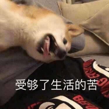 生活得津津有味