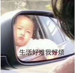 这顿饭太难了