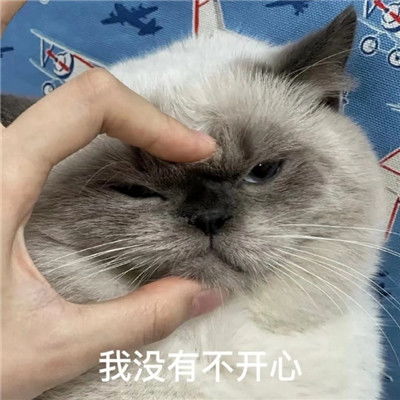 抖音完了芭比q了表情包
