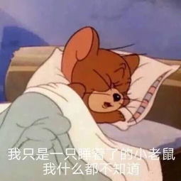 表情包,直男怎么哄女生,土味套路情话你想知道么