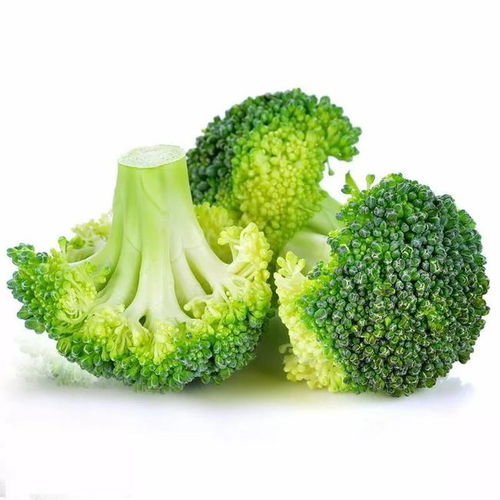 天冷了,女人想当衣架子记得吃8种食材,营养丰富热量低