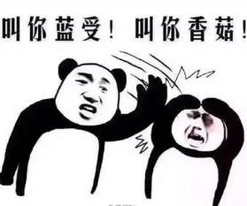 学服装设计的女朋友,你敢追吗受不了这10大酷型,千万别找