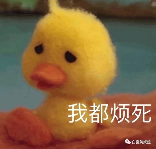 晚晚史诗级翻车艳压范冰冰心机被戳破,10年旧照复盘不忍看