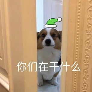 心心念念的小柯基的可爱表情包