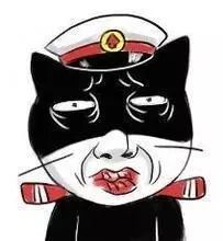 刚放生了一只蟑螂,她一直回头看我,感觉眼里有泪光
