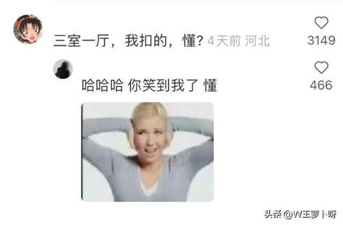万万没想到涂山,我罩的,懂火出圈了,我笑死在评论区了杨幂猴哥网易订阅