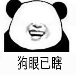寻找那逝去的15年沙城看九蛋瞎扯淡