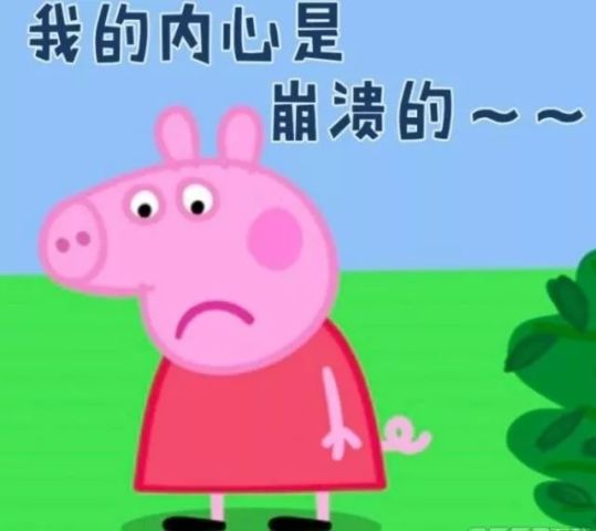 跪下唱征服的表情包小猪佩奇