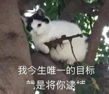 可爱小表情适合发给喜欢的人
