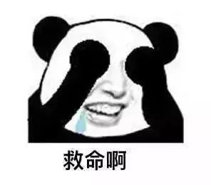 别再追我了表情包返还型保险