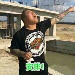 安排上了是什么梗安排上了诺基亚表情包