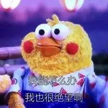 小女孩表情包叫什么名字生气