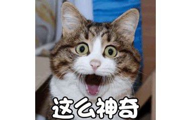 有了抗幽牙膏,幽门螺旋杆菌和口臭就都不见了