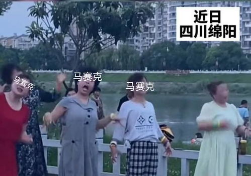 广场舞大妈表情包图片一起跳