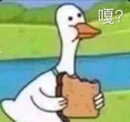 超越韩雪袁立,消音女王宁静成为贵圈最敢讲女明星