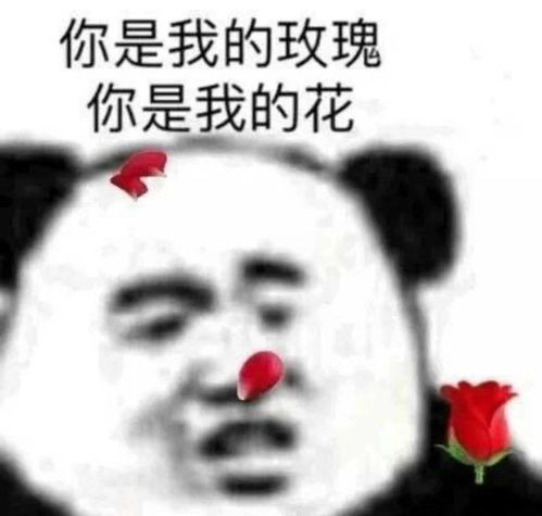 又是尾鱼双向暗恋势均力敌的爱情,本单身狗又悟了