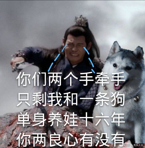 李诞佩服我表情包陈情令