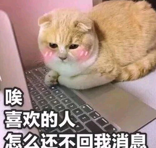 可爱兔兔表情包发出