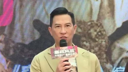 渣渣辉表情包gif廉政风云