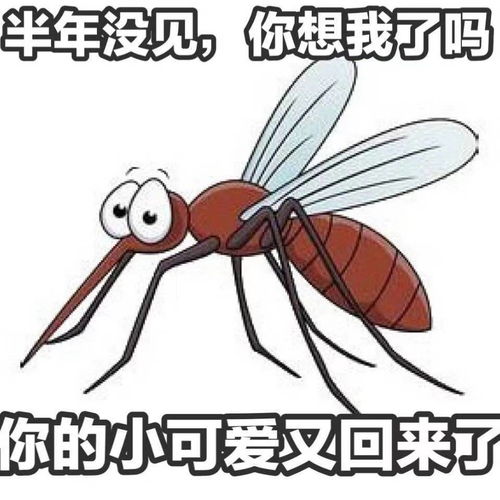 开心一刻小时候读书的时候,成绩一直都还可以,就是不爱做作业
