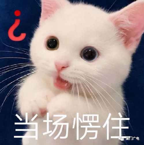 厦门过山车模式开启阴雨倒春寒来袭