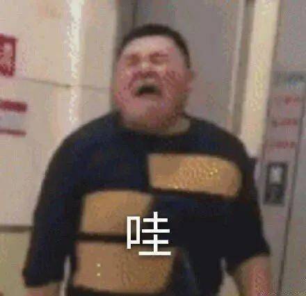 日常沙雕搞笑表情