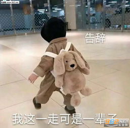 给我也整一个表情包万能表情包可爱图片下载乐游网游戏下载