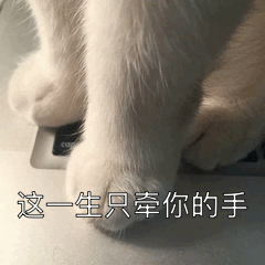 哄女孩开心的表情包我不会写情书,但爱你的心是真的