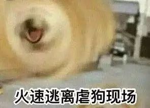 从现在开始表情包七夕